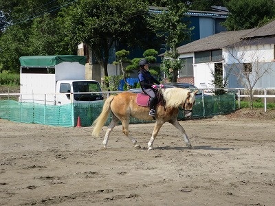 良い馬と楽しい乗馬