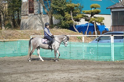 人と馬の安心関係