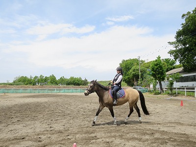 乗馬は馬との話し合い(^^)