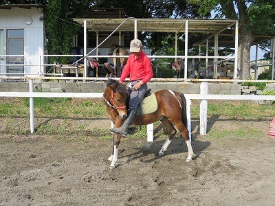 新馬調教　馬に納得してもらう努力