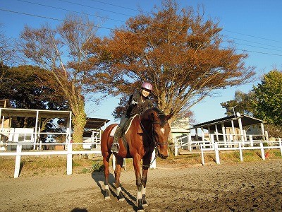 コミュニケーション乗馬を体験