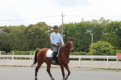 馬は笑顔が好き