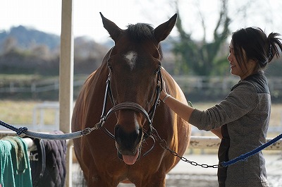 馬の気持ちと会話しよう