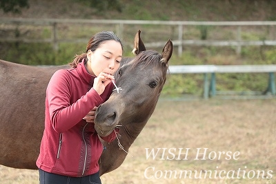 乗馬