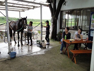 乗馬クラブに新しくテーブルベンチ