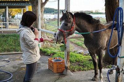 私達は乗馬愛情部！