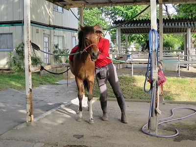 新馬調教　重さを教える