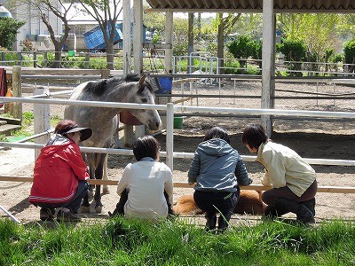 乗馬の楽しみ