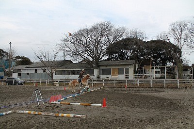 馬と凧揚げ