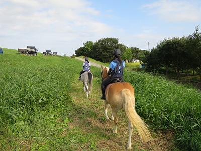 本格馬場馬術から外乗まで