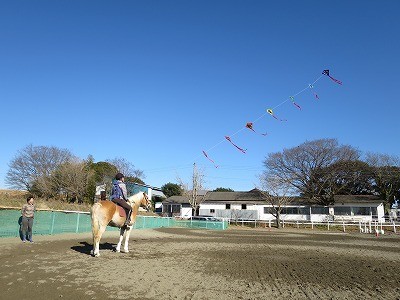 ナチュラルホースマンシップで馬と遊ぼう！