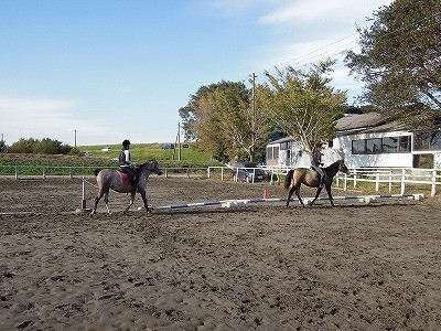 馬の気持ちを考える