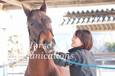 馬の幸せな表情