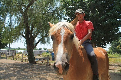 馬とのコミュニケーション