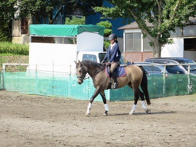 整えながら馬に乗る