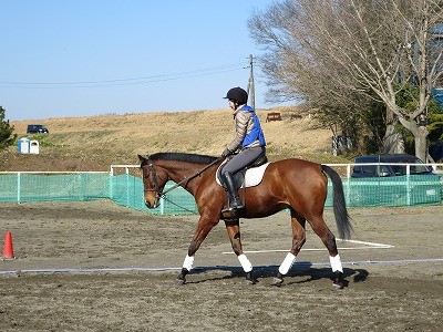 気持ちのいい乗馬日和