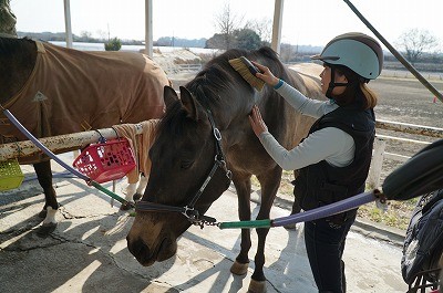 馬が喜ぶ乗馬