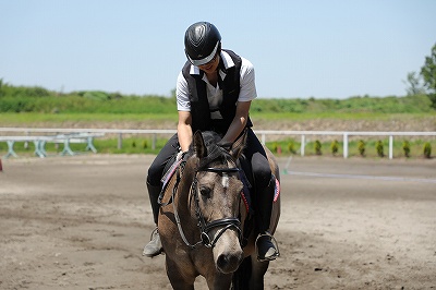 乗馬は繊細さと愛情と