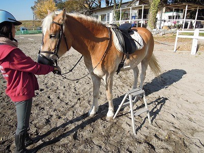 馬に乗る時の台の向きは