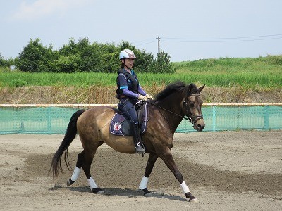 自然流馬術