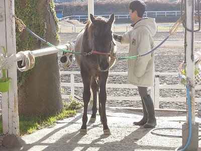 幼いころのアー君