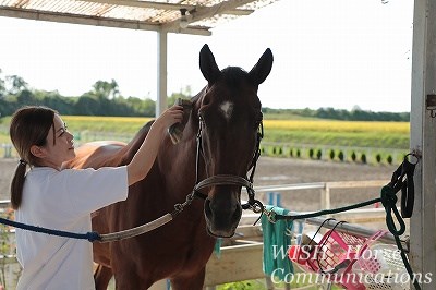 馬と仲良くできる乗馬クラブ