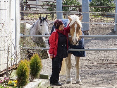 馬と愛し合う