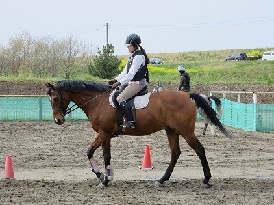 オリンピック乗馬