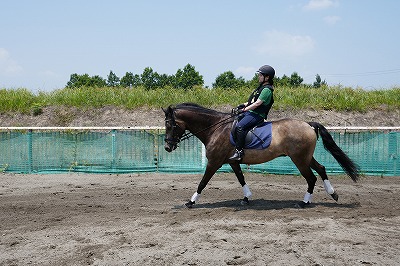 馬を思いやり続ける気持ち