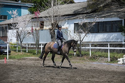 ホースコミュニケーションのエッセンス