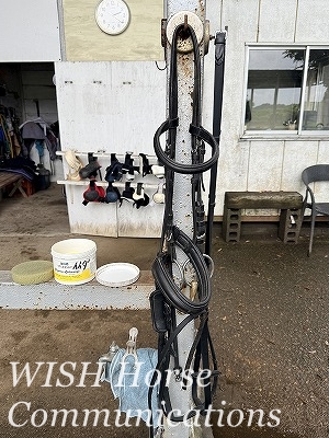 馬具手入れ