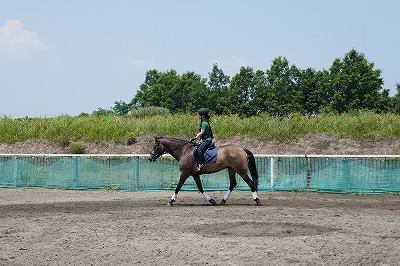 柔らかく馬に集中し続ける気持ち