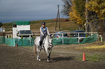 参加する乗馬