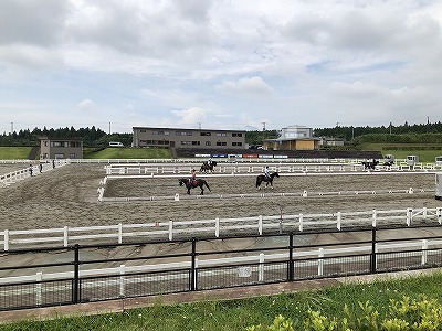 全日本馬場馬術大会