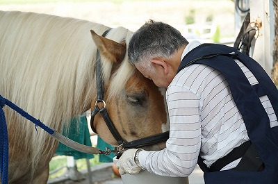 馬との絆をつくるにはテクニックじゃない