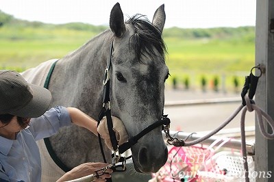 馬の気持ち