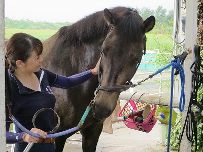 馬との優しい会話