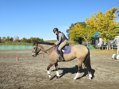 素晴らしい秋の乗馬