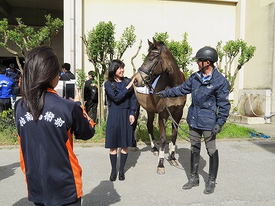 柏南高校馬術部