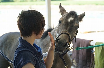 馬は周りの人次第