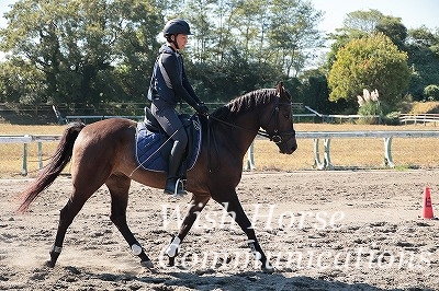 秋乗馬