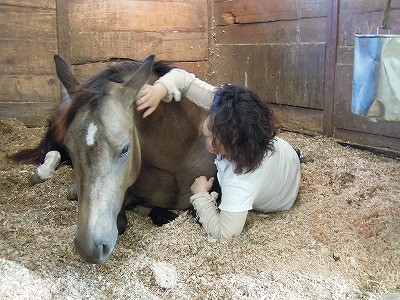 ふかふかベッドで馬と寄り添う