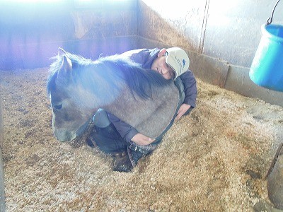 馬と寝てみた 柏エリアの乗馬 ウィッシュホースコミュニケーションズ
