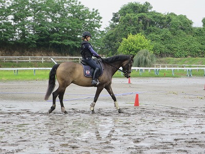 馬との一体感