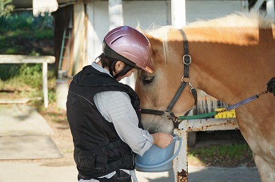 はじめての乗馬体験