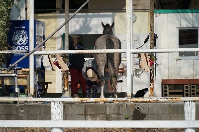 馬と一緒に楽しめるクラブ