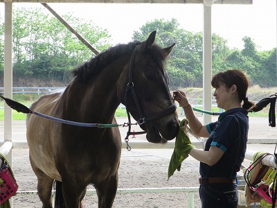 全日本馬場馬術大会出場馬？！