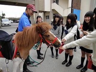 高校へポニーとお出かけ