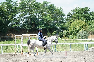 乗馬が上達する魔法の言葉