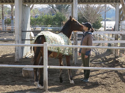 馬と寄り添う